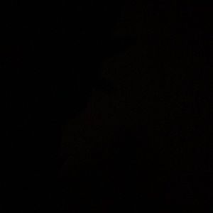 Meet your Posher, Sierra